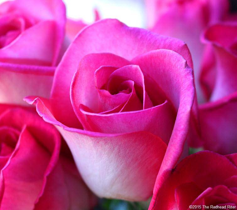 http://cdn.idntimes.com/content-images/post/old/582d8-7_theredheadritercom.jpg