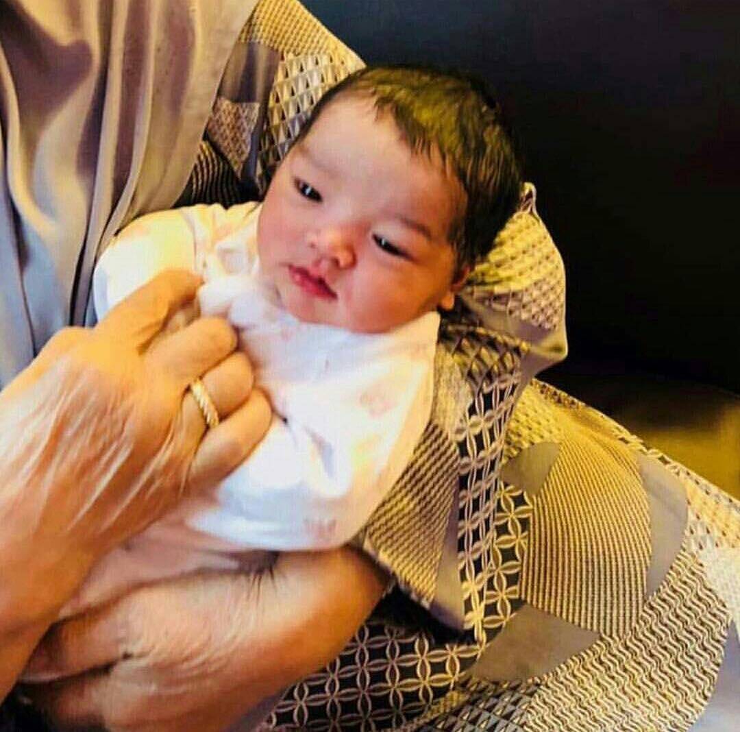 https://cdn.idntimes.com/content-images/post/20180325/6-comel-pipimerah-53adc552f402e7ab11f99acd0cc60c78.jpg