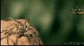 http://cdn.idntimes.com/content-images/post/old/7e8ce-6.gif