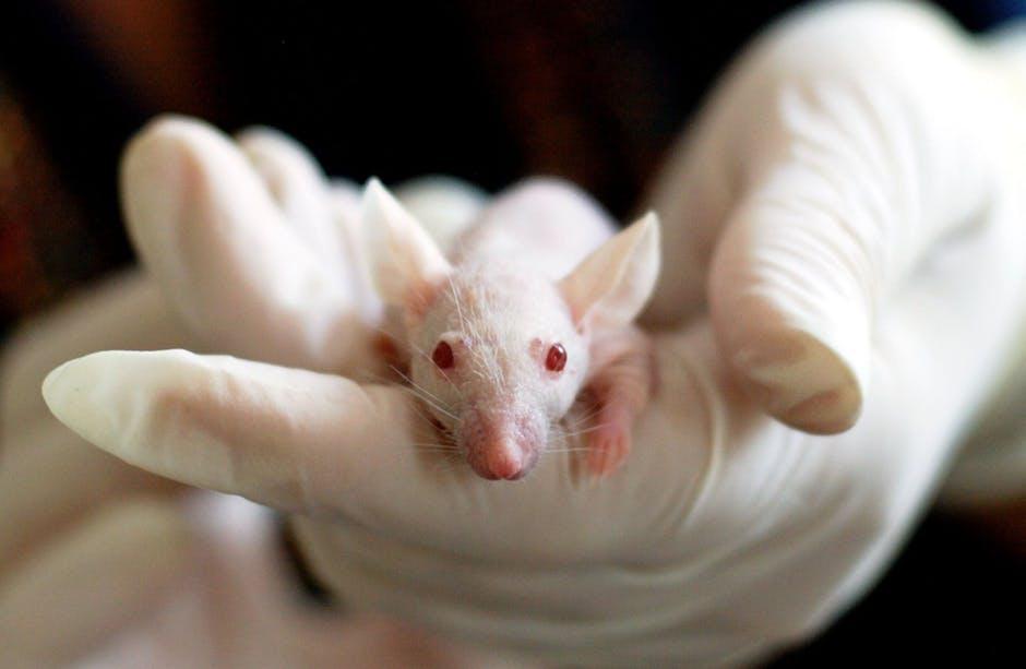 https://cdn.idntimes.com/content-images/post/20180207/animal-mouse-experiment-laboratory-159483-7b8abe2e5c3e4a59537ceb4b0b2a004c.jpeg