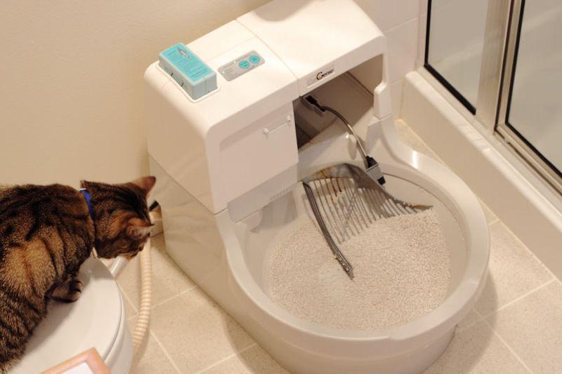 https://cdn.idntimes.com/content-images/post/20170417/catgenie-ce15d64563a669060e8afecb3bed92d6.jpg
