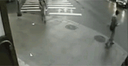 https://cdn.idntimes.com/content-images/post/20171025/d7-0ab9dc394b4cf1c075d5580849d61e61.gif