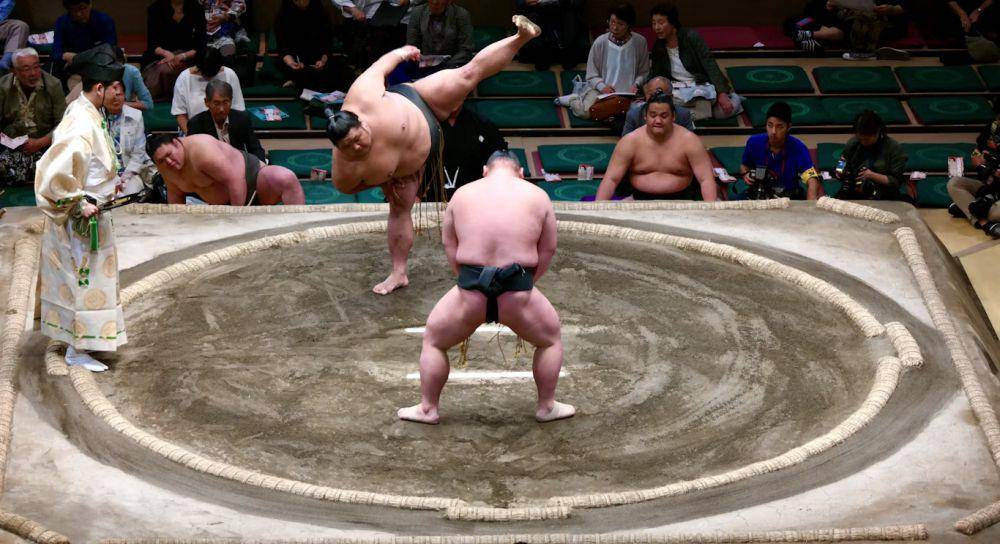 Sumo (unsplash.com/Alessio Roversi)