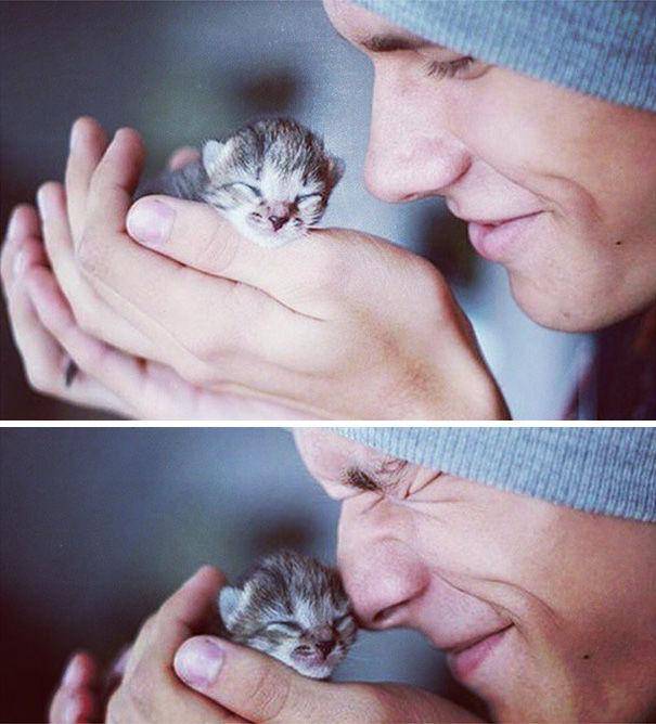 http://cdn.idntimes.com/content-images/post/20160112/hot-dudes-with-kittens-instagram-391-605-6928f5cbf24bba707bff1a36e7a847a5.jpg