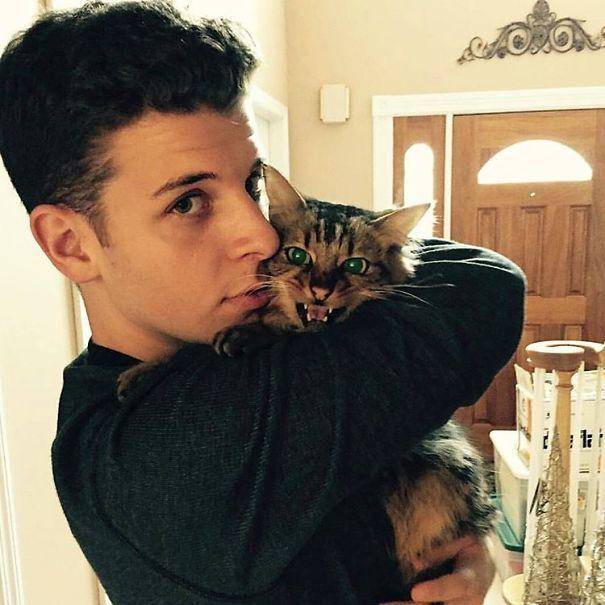 http://cdn.idntimes.com/content-images/post/20160112/hot-dudes-with-kittens-instagram-401-605-512141d1737422fed4331848a6ec7fea.jpg