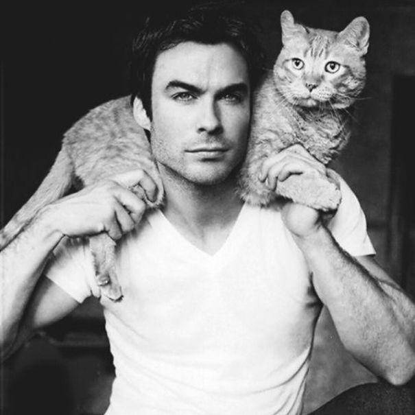 http://cdn.idntimes.com/content-images/post/20160112/hot-dudes-with-kittens-instagram-441-605-b7876ce0ee39b286cddbbdfb4c12707e.jpg