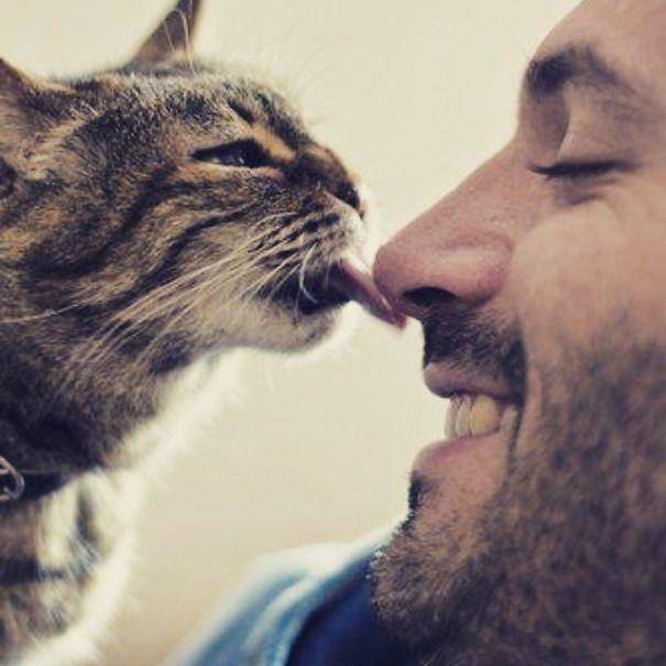 http://cdn.idntimes.com/content-images/post/20160112/hot-dudes-with-kittens-instagram-605-978bc79aa97b3dece8c3f37e55a03c57.jpg