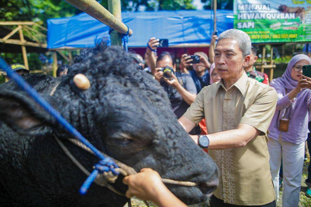 Wali Kota Bogor Dedie Rachim saat meninjau kondisi hewan kurban diPusat Perakitan dan Modernisasi Peternakan dan Kesehatan Hewan (PPMPKH), Jalan Pajajaran, Kota Bogor, Selasa (27/5/2025). (Humas Pemkot Bogor).