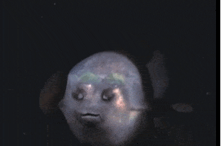 https://cdn.idntimes.com/content-images/post/20170824/j12b-8743f1f2eea744232829212805bf70b8.gif