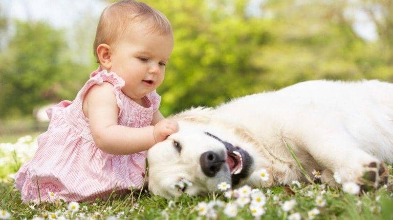 http://cdn.idntimes.com/content-images/post/20160129/preview-cute-little-girl-playing-with-dog-05cb010528f5409fd76d89554777ac5f.jpg