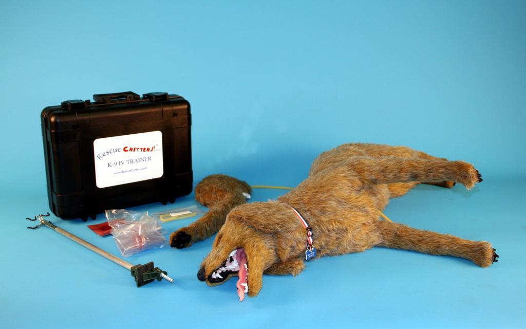 https://cdn.idntimes.com/content-images/post/20170417/rescuecritters-94844995792c1fab2e643b851f958729.jpeg