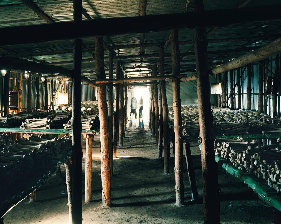 https://cdn.idntimes.com/content-images/post/20170404/rwanda-genocide-memorialngsversion1476732614838adapt11901-1225d575803c28e9a474fe515eea83ca.jpg