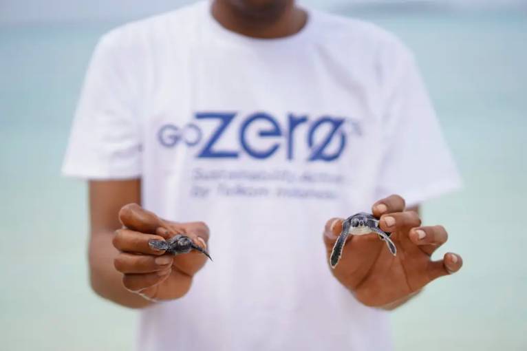 elepasan 200 tukik (anak penyu) ke habitat alaminya di Pulau Kapoposang, Sulawesi Selatan, pada Jumat, (23/5) dalam rangka memperingati World Turtle Day (dok. Telkom)