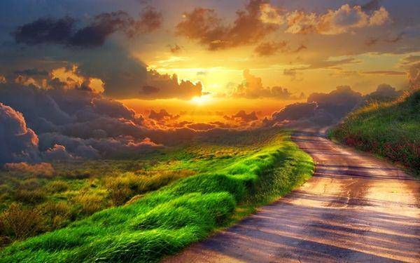 http://cdn.idntimes.com/content-images/post/20160224/taman-toughquestionsanswered-org-827a58f07e59365207ce194d3956dd84.jpg