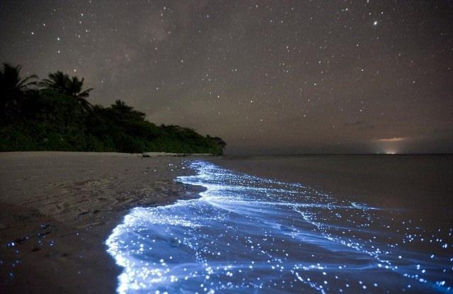 https://cdn.idntimes.com/content-images/post/20170311/vaadhoo-island-maldives-1-037468f2f10602b56de5785c512d309e.jpg