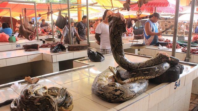 https://cdn.idntimes.com/content-images/post/20171115/006643500-1499218828-ular-piton-yang-dijual-bebas-di-pasar-bersehati-tomohon-cf51b4ceb89a766f29b1aad74f6e30bb.JPG