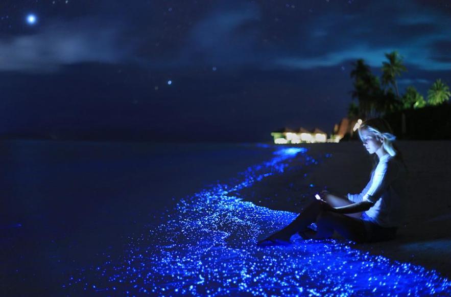 https://cdn.idntimes.com/content-images/post/20171113/07-vaadhoo-amazing-beach-4e365b4c63d18a6bd95941a08af625d8.png