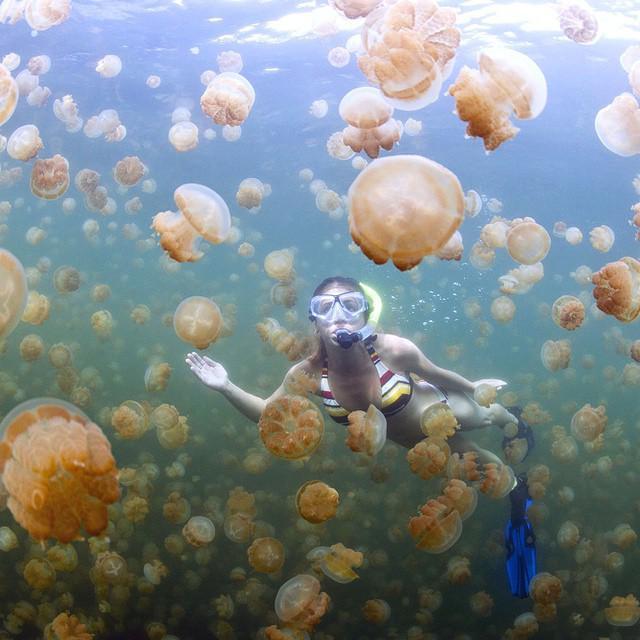 https://cdn.idntimes.com/content-images/post/20180526/1-07198a595b95318df60324da8eafe4d9.jpg