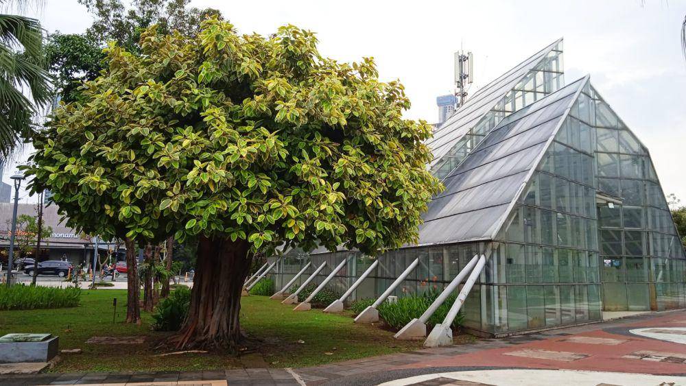 rumah kaca di Taman Menteng (dok. pribadi/Gusti Nur Iwari)