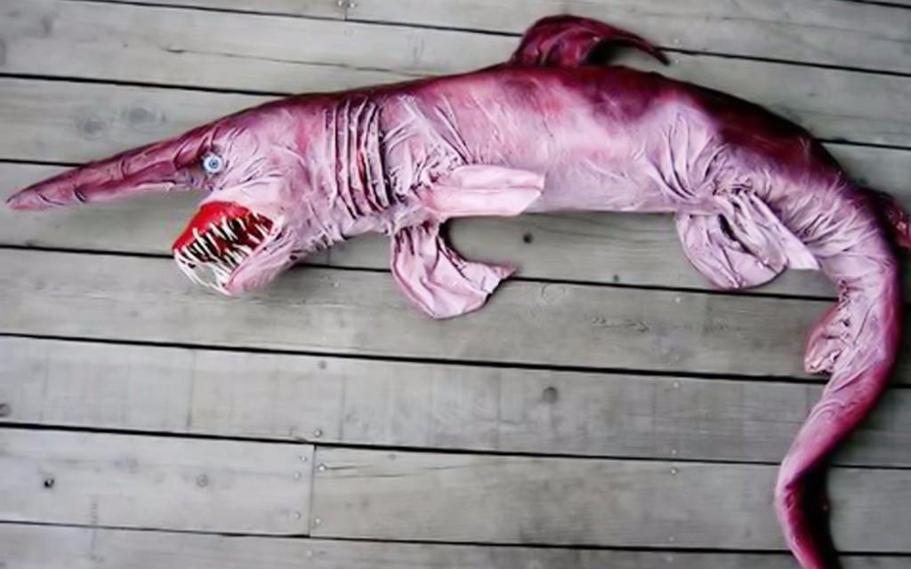 https://cdn.idntimes.com/content-images/post/20161206/10-animals-you-didnt-know-existed-6-371c7dd9b743e0c8437aa8d808fdcc6c.jpg