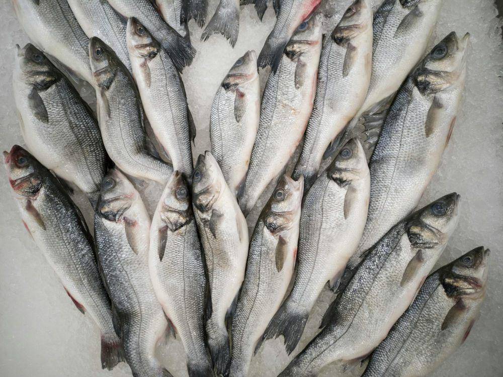 ilustrasi ikan basah (pexels.com/Engin Akyurt)