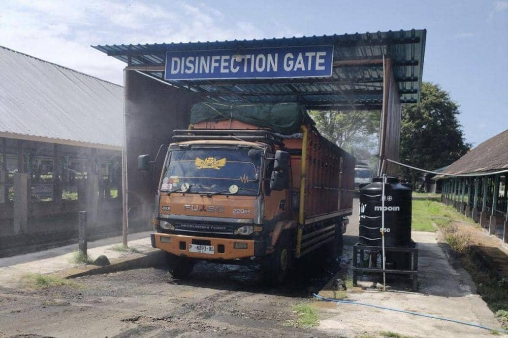 Pemeriksaan hewan kurban yang dikirim ke luar Bali oleh Karantina Bali (Dok.IDN Times/istimewa)