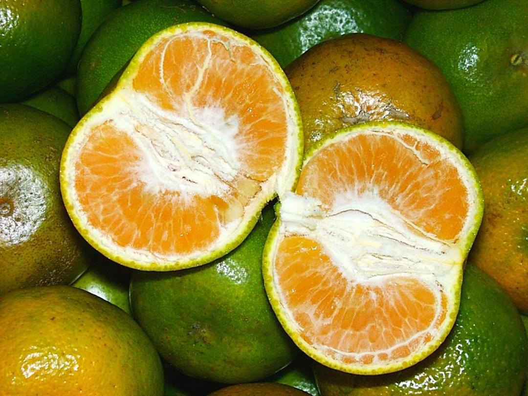 https://cdn.idntimes.com/content-images/post/20170411/1126248-keproksample-3-0f46b21d5cbfa52b492e93f52b2d845b.jpg