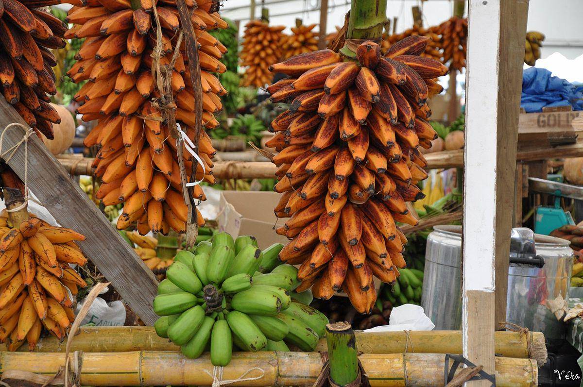 https://cdn.idntimes.com/content-images/post/20180130/1200px-fei-tahiti-f1cf607a9e9b438bce46d92c41260307.JPG