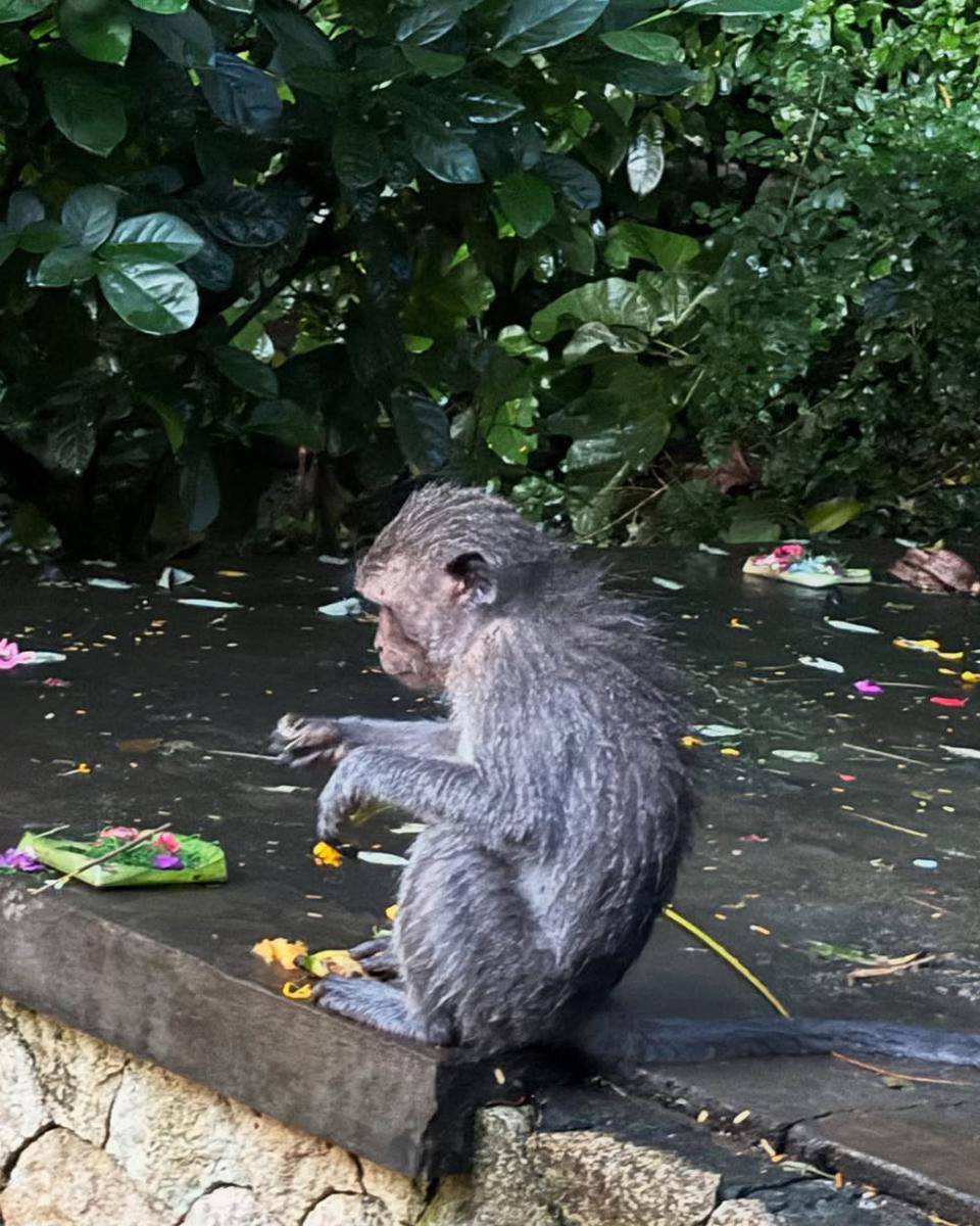 potret liburan Cho Yi Hyun di Bali (instagram.com/yihyun_1208)