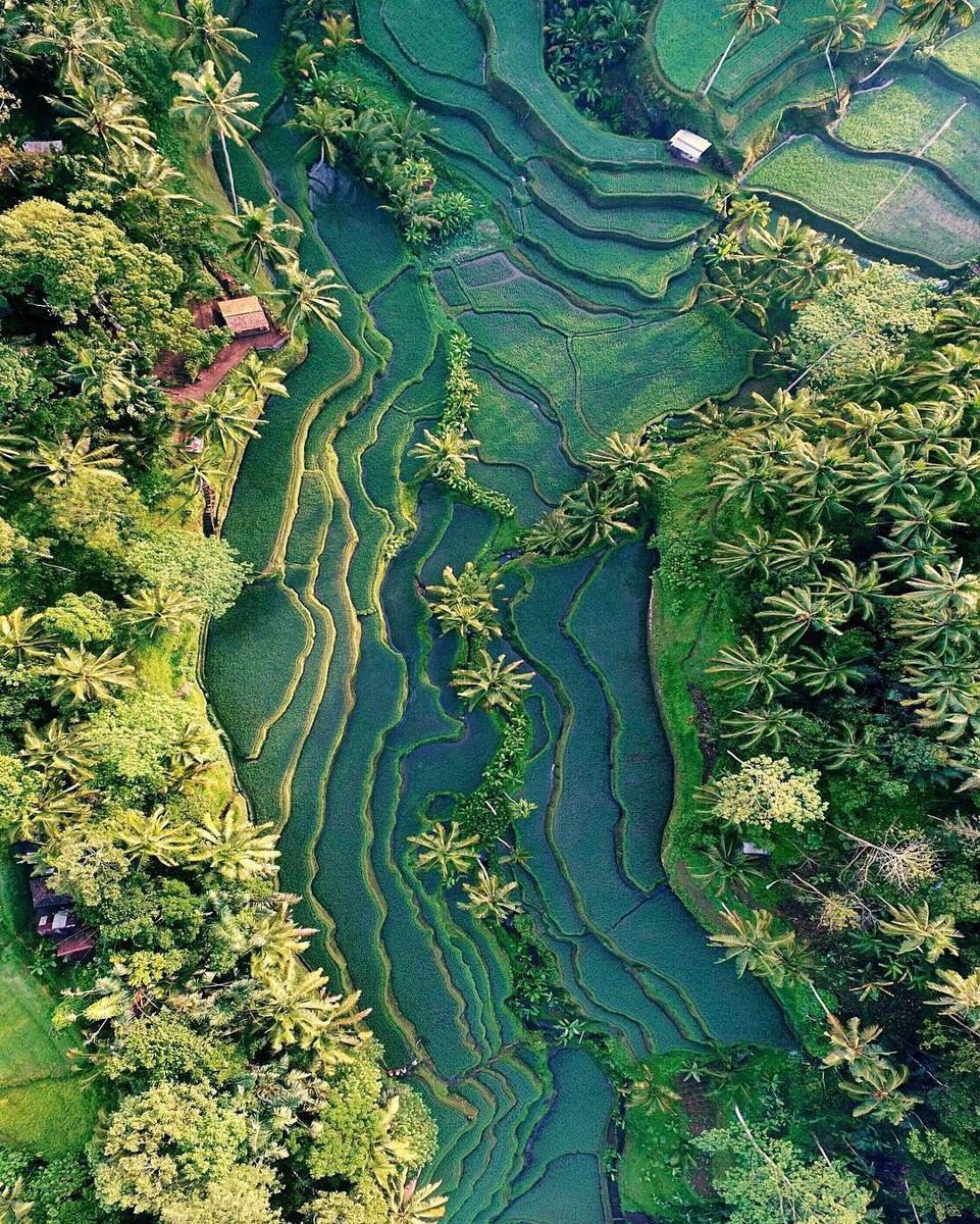 https://cdn.idntimes.com/content-images/post/20170418/17817982-1019793801484562-1045432272917889024-n-7f635ea732210e5888de58fd3db64ef7.jpg