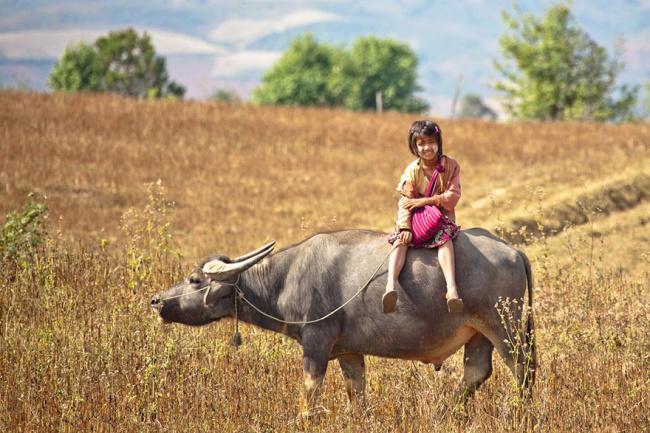 https://cdn.idntimes.com/content-images/post/20170221/281105-children-going-to-school-around-the-world-24-650-219483759a-1484634034-a0ba8897ce4fc82ebbde65877261f5d7.jpg