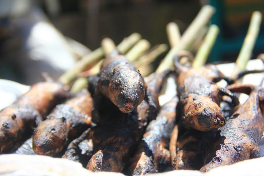 https://cdn.idntimes.com/content-images/post/20171115/6-img-8264-daging-tikus-sawah-juga-menjadi-salah-satu-daging-yang-dijual-di-pasar-tomohon-2c91cc4efe0320b1aee1eb1330273e14.jpg