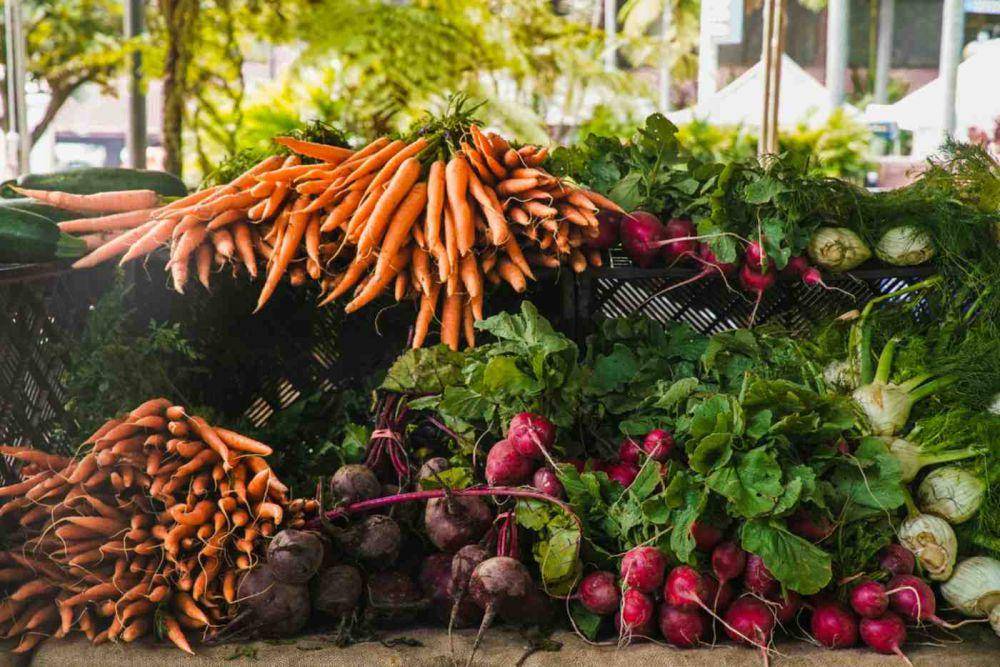 Kesel Sayur Cepat Layu di Kulkas? Ini 5 Tips Cara Menyimpannya