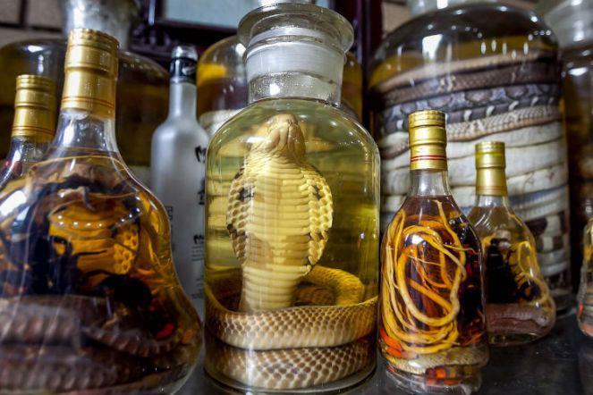 https://cdn.idntimes.com/content-images/post/20170801/663x442-anda-berani-coba-wine-berbisa-151118l-5a5f1dbe6f620bcdda15e8b808b27410.jpg
