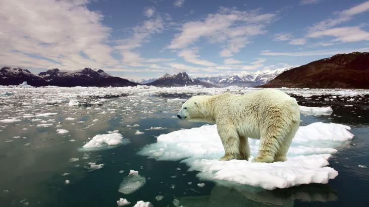 https://cdn.idntimes.com/content-images/post/20160930/8845010-stop-global-warming-731x411-912e9688aeedfc87db6dd324e6b459b1.jpg