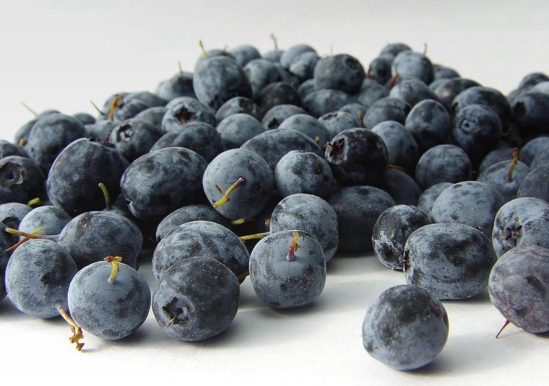 https://cdn.idntimes.com/content-images/post/20160926/acai-berry-9dbde7883d554c574ada2c24b92f7f54.jpg