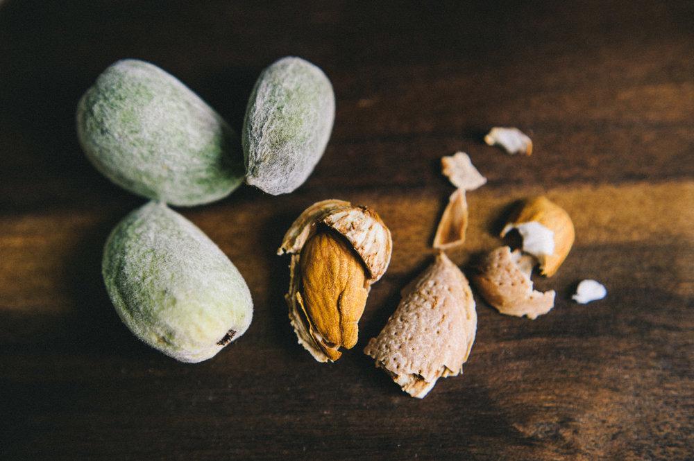 https://cdn.idntimes.com/content-images/post/20171024/almond-milk-25-269230afb294cb9b302ef5bfcac6e6c6.jpg