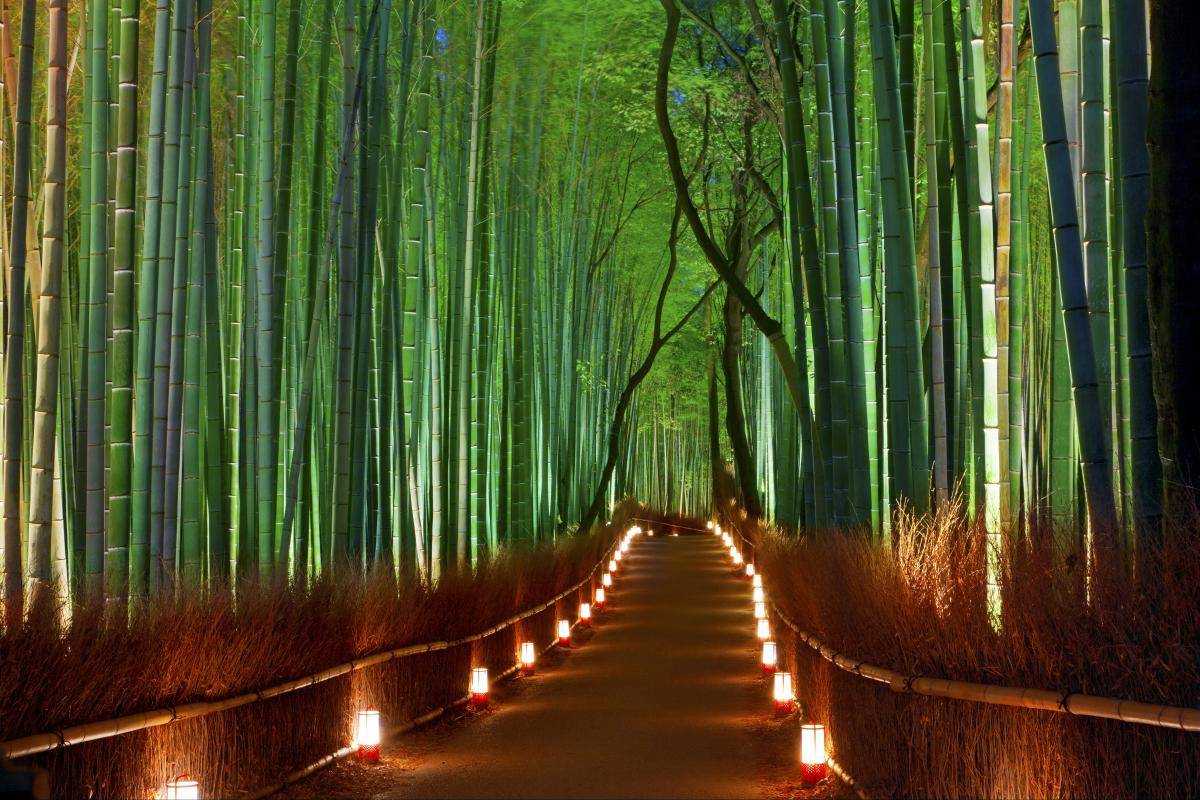 https://cdn.idntimes.com/content-images/post/20180424/arashiyama-4bda13d93763bc29737c592fba1fa9bd.jpg