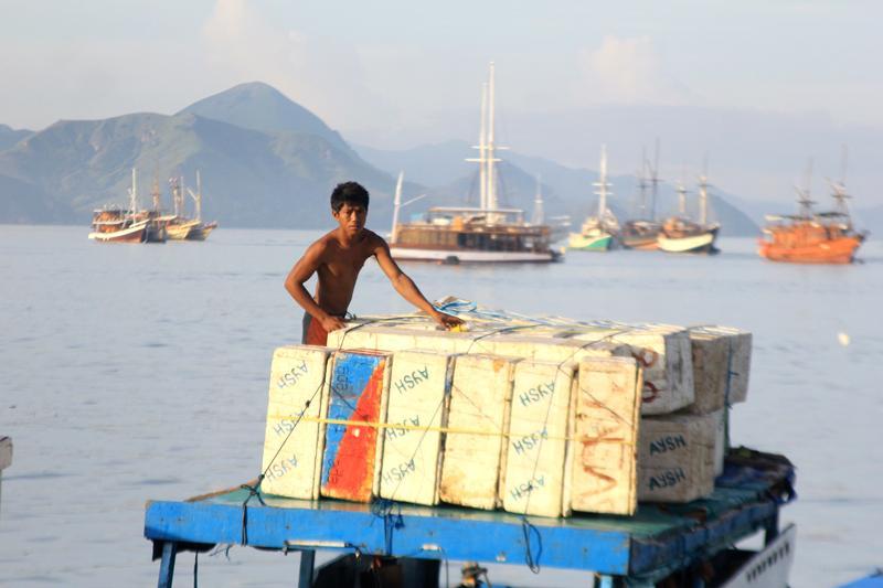 https://cdn.idntimes.com/content-images/post/20170310/bajo3-8ef8254a3e0d08dc52a178d5bd0f32a1.JPG