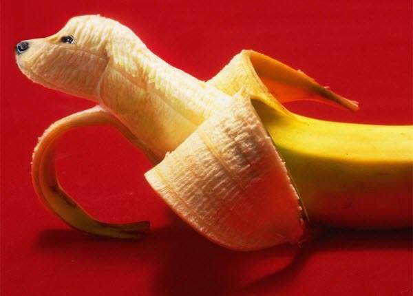 https://cdn.idntimes.com/content-images/post/20171115/banana-doggy-11281fcc6204948df633bf4f991bd743.jpg
