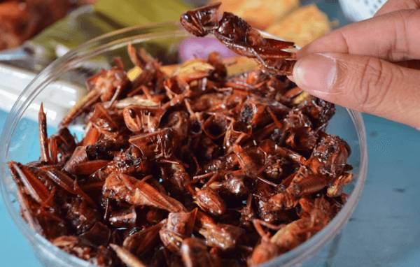 http://cdn.idntimes.com/content-images/post/20151216/belalang-goreng-1-swaragamajogjacom-adc06f59a8190266fba8cfe3a18d8284.png