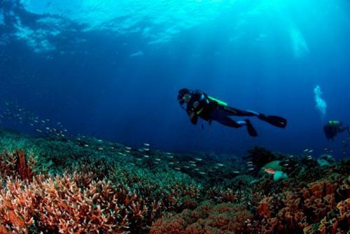 https://cdn.idntimes.com/content-images/post/20171107/bira-spotnesia-6f7049721328549a5c691db08b8a125a.jpg