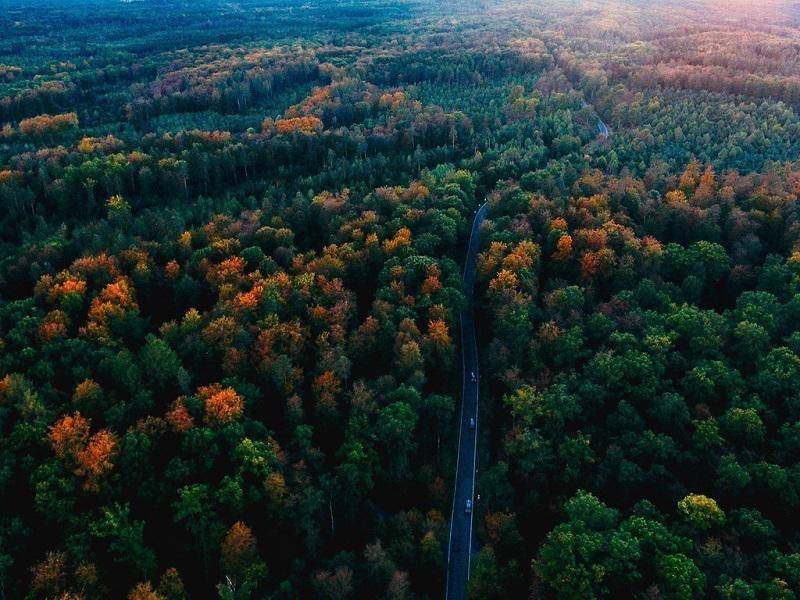 https://cdn.idntimes.com/content-images/post/20180424/blackforest-germany-travel-dejavu-featured-image-4d57f40cd7d6cc40132b02dfc4fa59cc.jpg