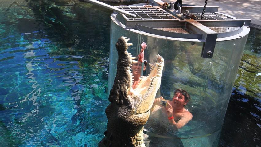 https://cdn.idntimes.com/content-images/post/20170925/buaya1-2e924ac40dda525805fba662989b6ebc.jpg