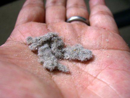 https://cdn.idntimes.com/content-images/post/20170413/dust-d9ba43a8896b158dbc1958d2c5456925.jpg