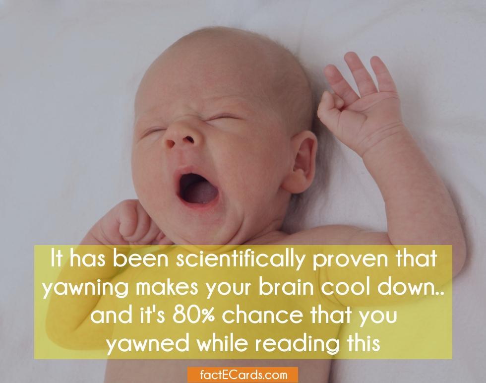 https://cdn.idntimes.com/content-images/post/20161007/f6-0e0699c71a927ef98d25526f83a0685c.jpg