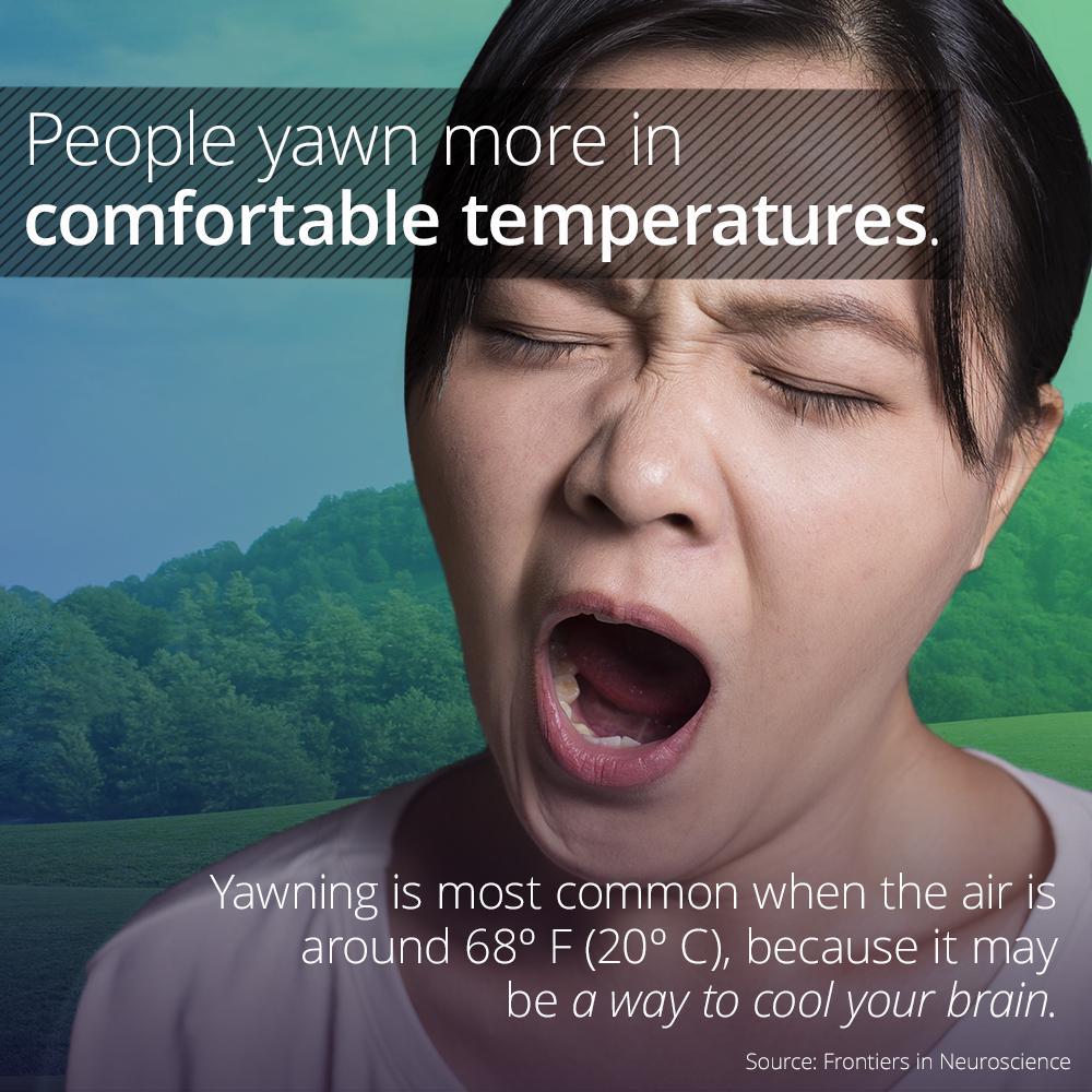 https://cdn.idntimes.com/content-images/post/20161007/f8-05e3c6ccc895896fca60702980f7c085.jpg
