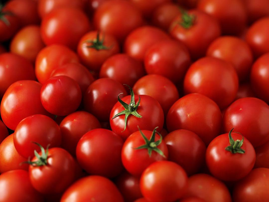 https://cdn.idntimes.com/content-images/post/20171025/food-tomatoes-2535756ab24a42d337cbe48614f06d68.jpg