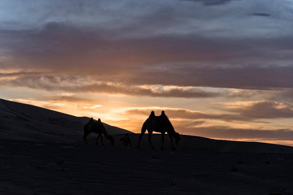https://cdn.idntimes.com/content-images/post/20180415/gobi-ebb1788ba87509a060173e548a8b2109.jpg