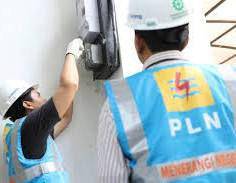 Pln